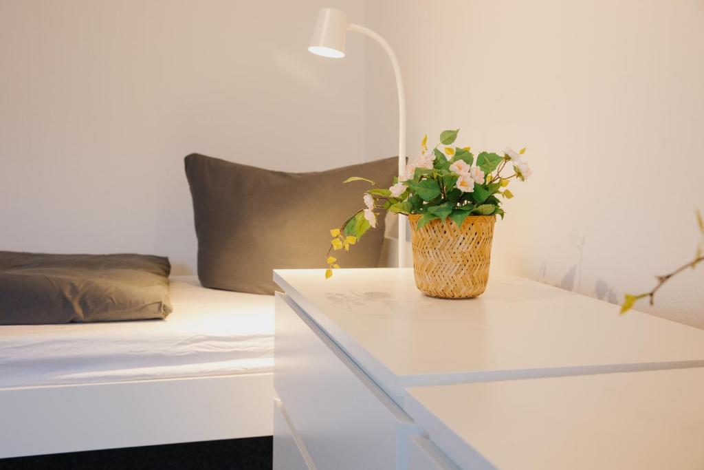 a potted plant on a white table next to a bed at Monteurwohnung Spremberg in Spremberg
