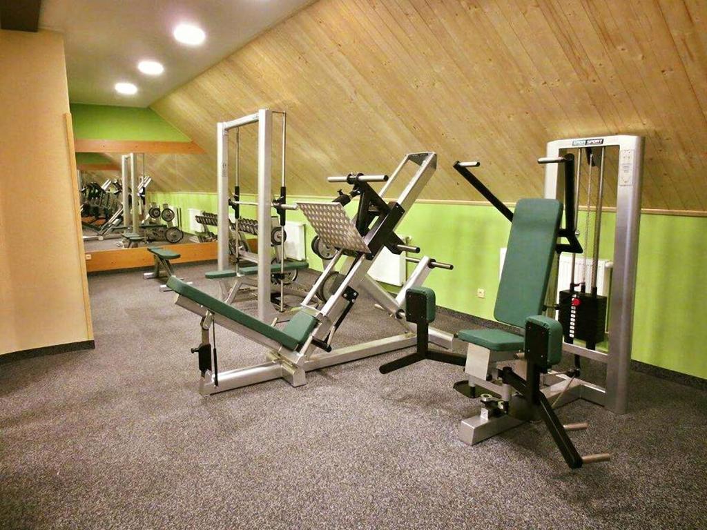 Fitness centrum a/nebo fitness zařízení v ubytování Hotel Tetřeví Boudy