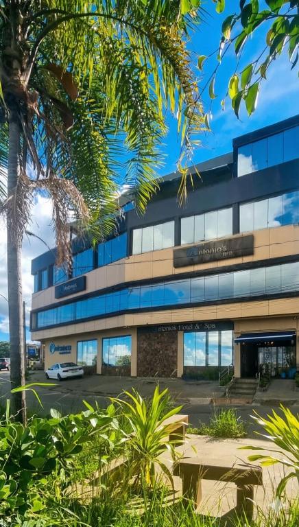 an office building with a palm tree in front of it at Antonio's Hotel e Spa - Airport in Brasília
