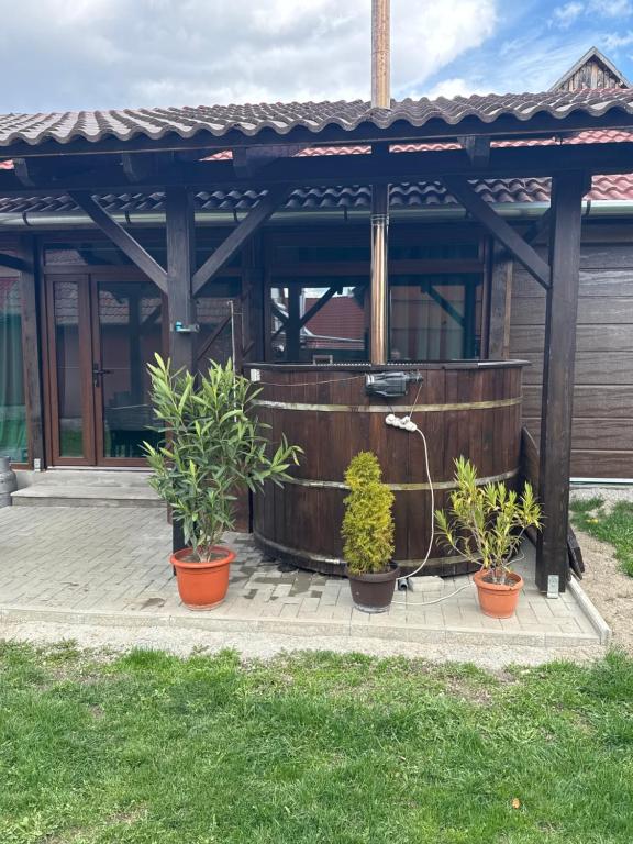 a wooden building with potted plants in front of it at Casa Lemnarului in Micfalău