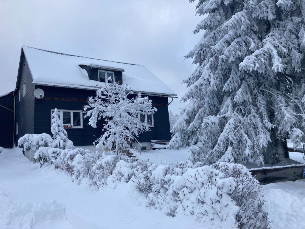 a house covered in snow next to a tree at Ferienhaus Rennsteigblick in Eisfeld