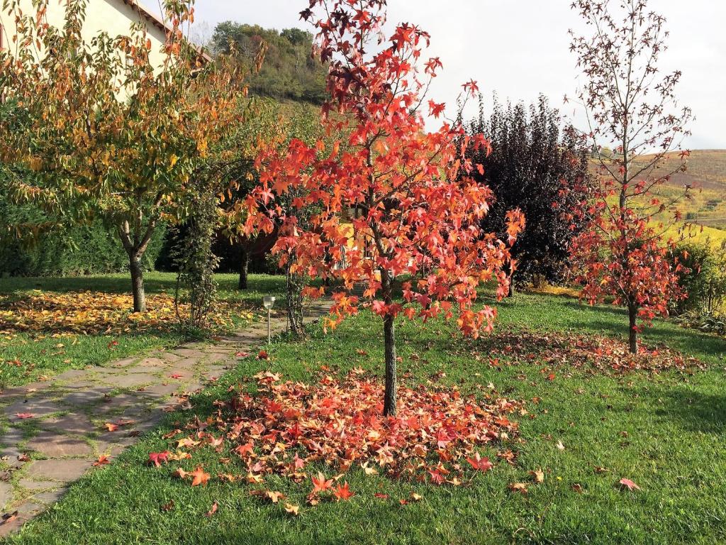 A garden outside Residence delle Rose