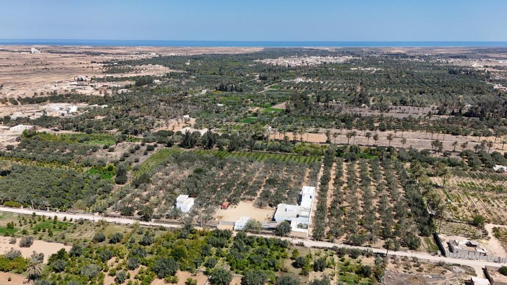 an aerial view of a forest of trees at ZINA RESORT camping touristique in Zurayq Barrānīyah