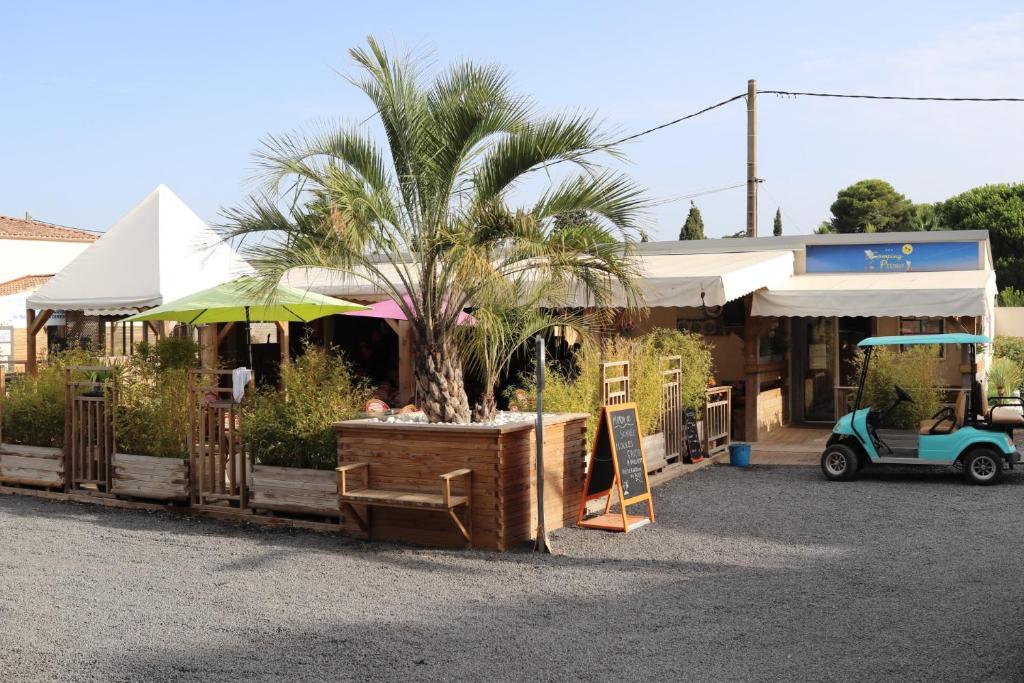 a palm tree in a wooden box in front of a store at Location mobil-home camping Pedro Confort & détente in Le Grau-dʼAgde