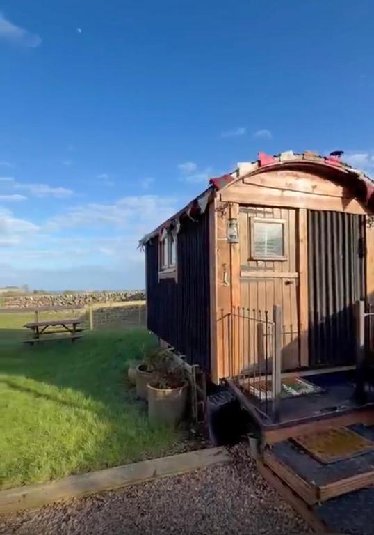 a tiny house with a gazebo at The Black Sheep Shepherd's Hut in Prestrie