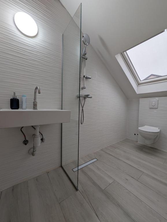 a bathroom with a shower and a sink and a toilet at Spacious Condo w Terrace & Piano in Sesvete