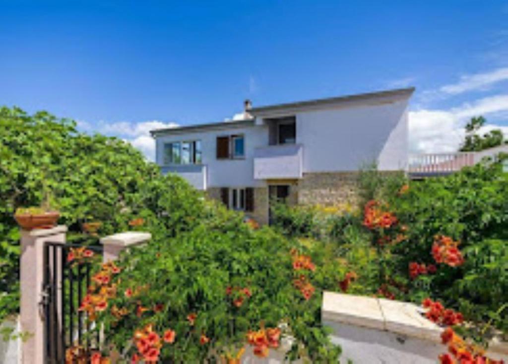a house on a hill with a garden with flowers at Apartman Tonko in Novigrad Dalmatia