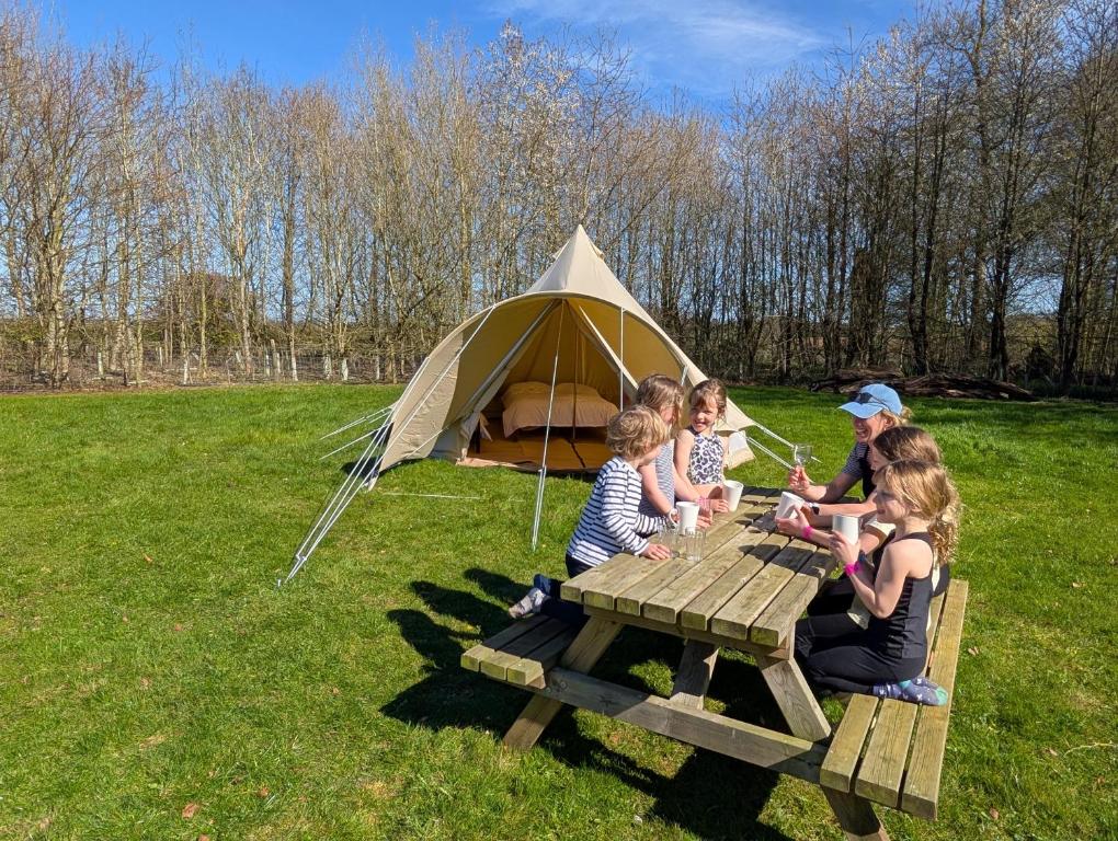 new-glamping-at-stockeld-park-in-spacious-bell-tents-including-free