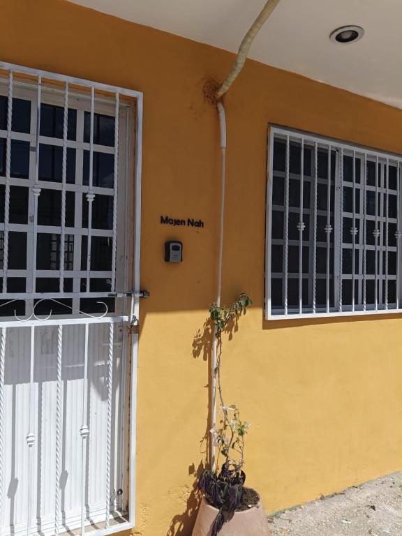 a yellow house with a window and a plant next to it at Majen Nah in Progreso