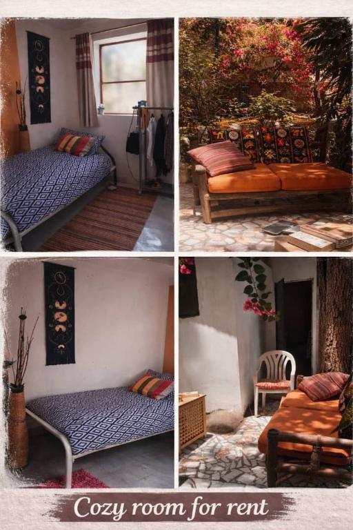 a collage of four pictures of a room with beds at Arijaana Guest Studio in Gunjur