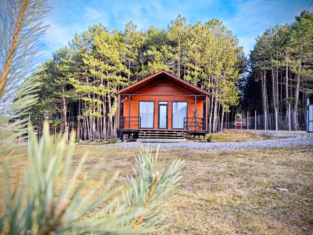 a small cabin in the middle of a forest at Pinewood Surami in Surami