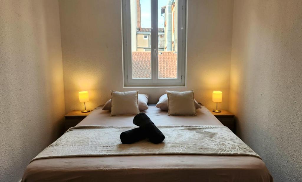 La Rose Toulousaine - Fully equipped 2-bedroom 3person - City center