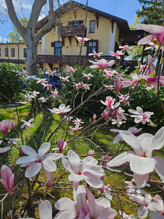 a bunch of pink and white flowers in front of a house at Villa Musik - historical apartments, Baden in Baden