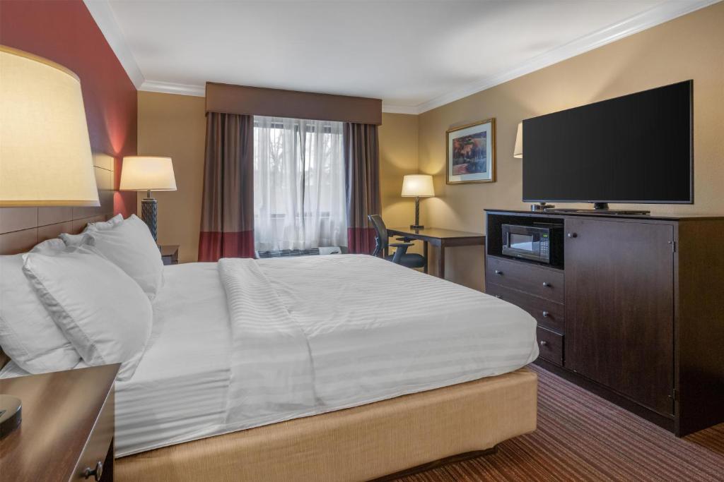 Best Western Sycamore Inn - 特大号床间 - 禁烟