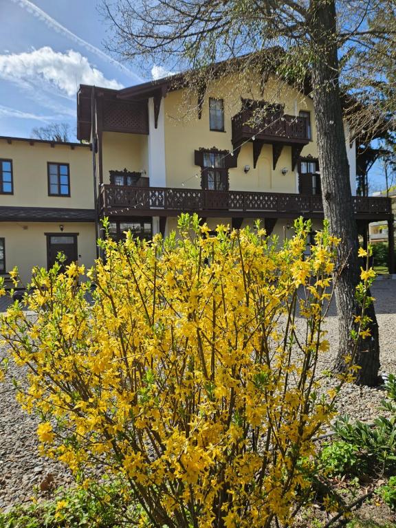 Villa Musik - apartments in historical Villa , Baden