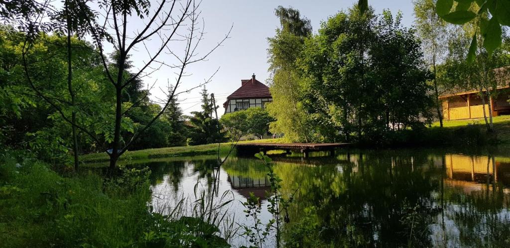 a view of a pond with a building in the background at Krokusowa Przystań-SPA,Restauracja i Noclegi w Górach Sowich in Rzeczka