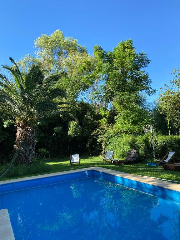 a swimming pool with two chairs and a palm tree at La Posada del Sol in Torres