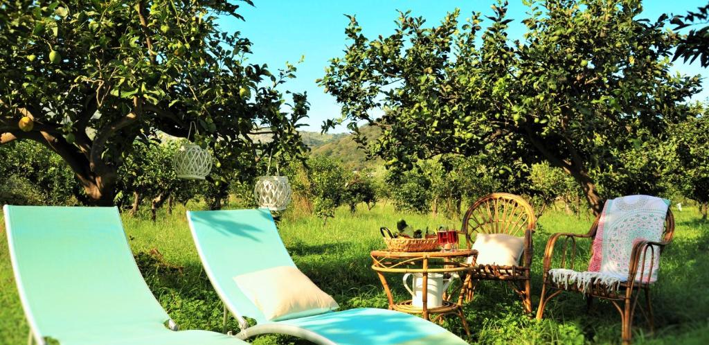 サンタレッシオ・シークロにあるAl Vico dei Limoniの草の中の椅子とテーブル