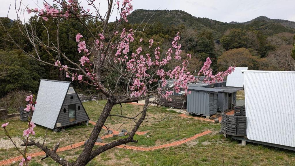 a tree with pink flowers on it next to houses at ichi in Ōkasho