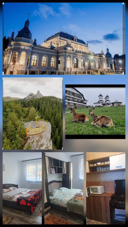 a collage of different pictures of a building at Apartament City Center Dorna in Vatra Dornei