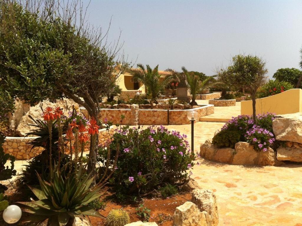 a garden with flowers and plants in a yard at Residence Punta Sottile Lampedusa A due passi dalla spiaggia cala francese in Lampedusa