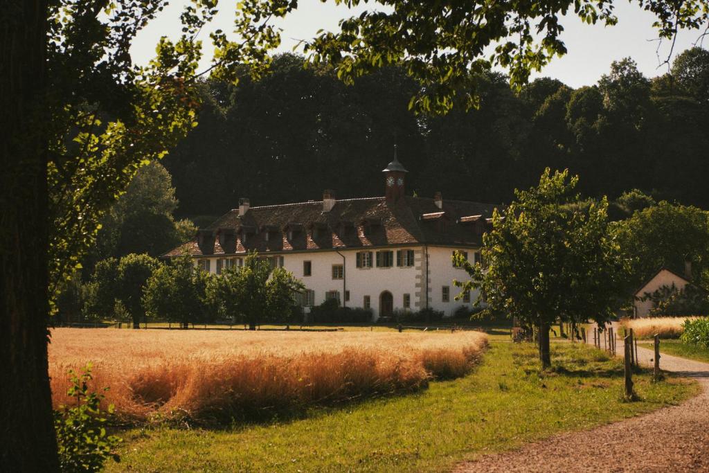 a large white house in the middle of a field at Hotel St Petersinsel in Sankt Petersinsel