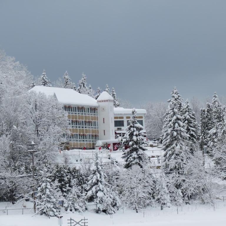 a building covered in snow in front of trees at Auberge Hotel Spa Watel in Sainte-Agathe-des-Monts