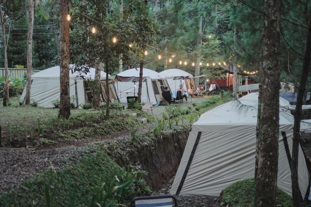 a group of tents in a forest with lights at Pakis Camping Cikole in Tangkubanperahu