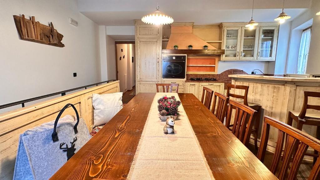 a kitchen with a long wooden table with chairs at Appartamento LO SCOIATTOLO in Andalo