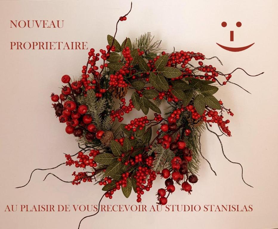 תמונה מהגלריה של Le Studio Stanislas בקולמר