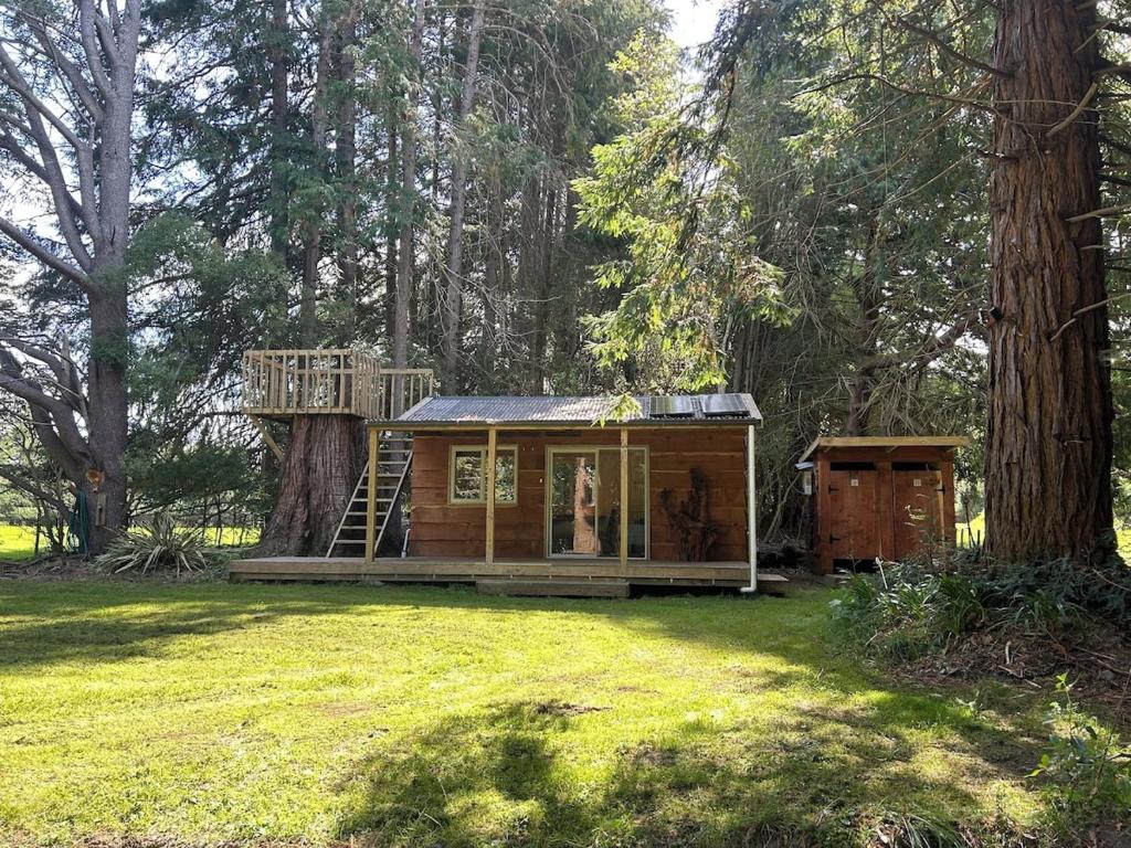 a tiny house in the middle of a yard at Secluded Redwood Cabin in Ashley Clinton