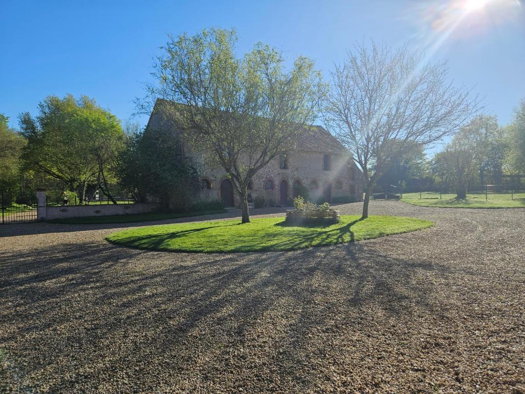 a house with a tree in the middle of a driveway at Nid de Coucou in Cernoy-en-Berry