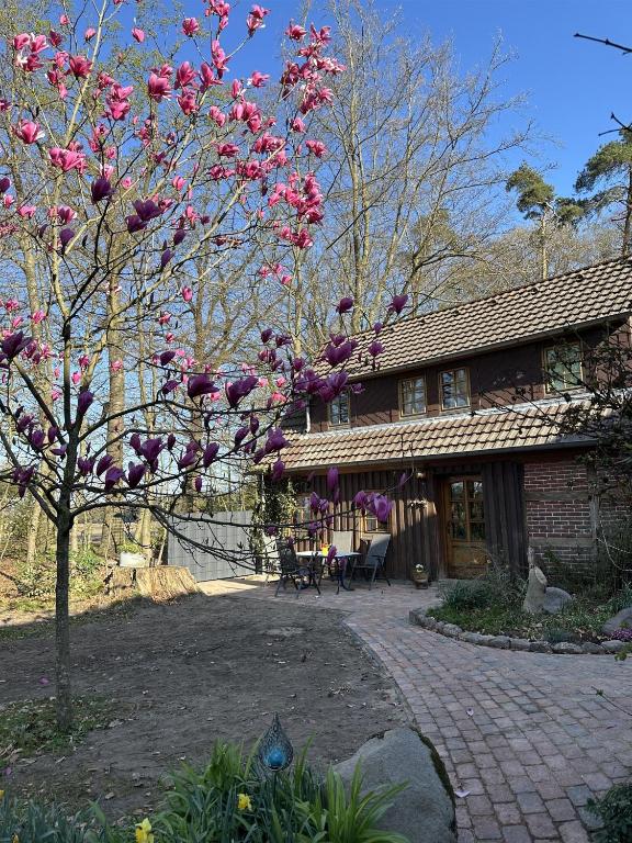 a tree with pink flowers in front of a house at Brockmann, Ferienidylle in Neuenkirchen