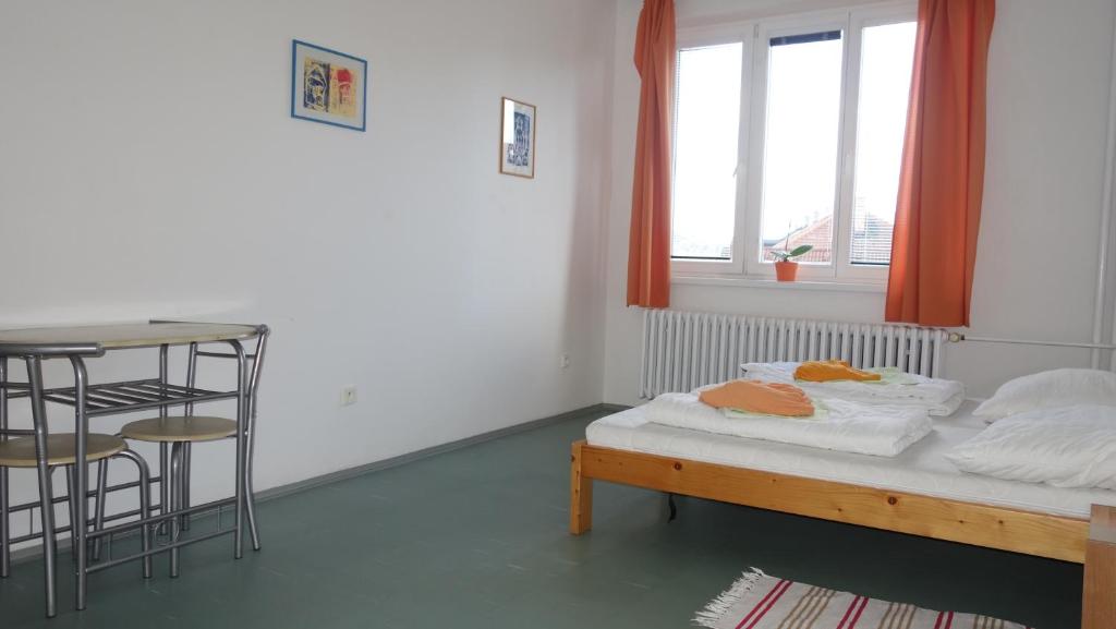 a room with a bed and a table and windows at Hostel Bernarda Bolzana in Tábor