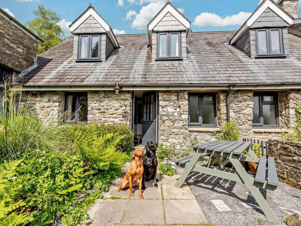 a dog sitting in front of a stone house at 2 Bed in Llandovery oc-bn094 in Llandovery
