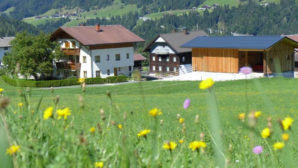 Příroda nedaleko apartmánu
