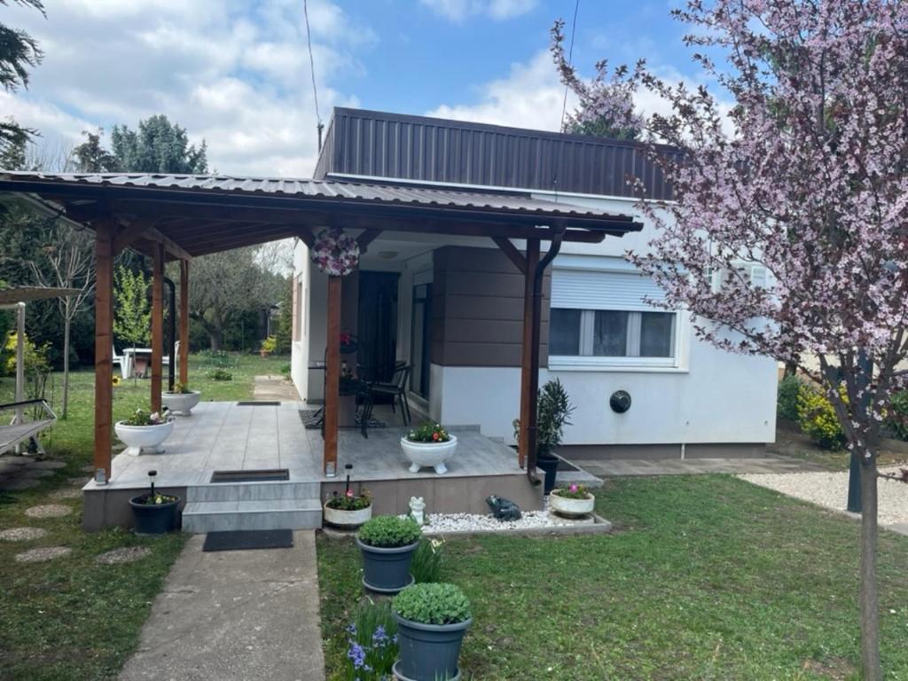 a house with a pergola in the yard at Tomi Apartman in Velence