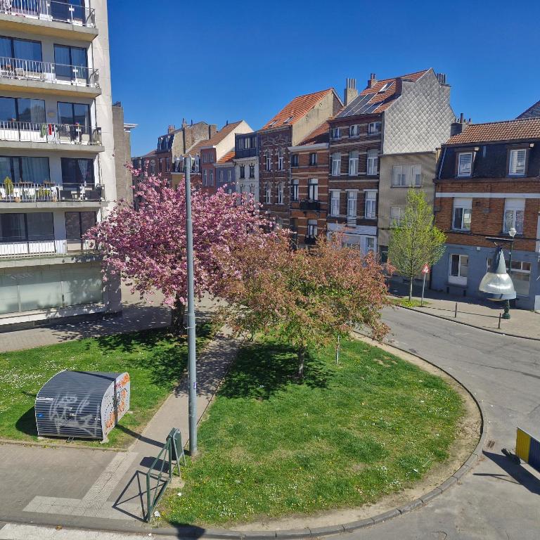 a city street with a tree and a street light at veeweyde in Brussels