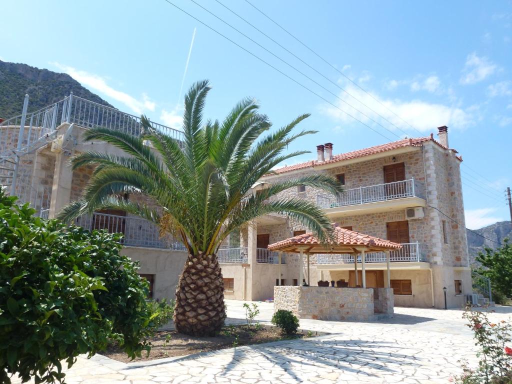 a palm tree in front of a building at Karantonis House in Leonidion