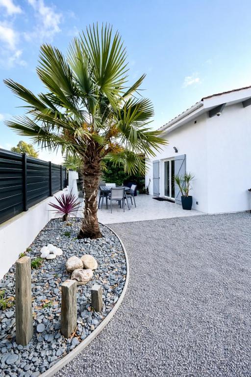 a palm tree in front of a white house at Maison individuelle Hourtin centre jardin clos in Hourtin