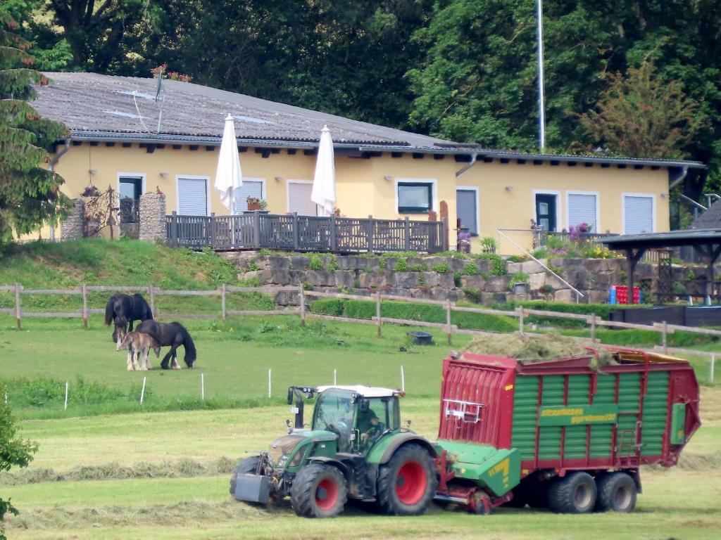 a green tractor and a horse in a field at Ferienhof Oldach in Bacharach
