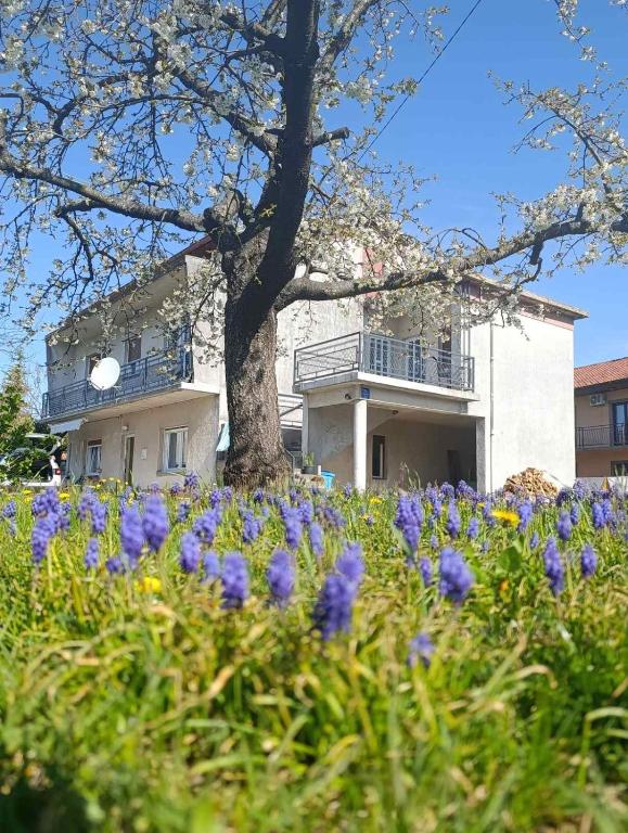 Zgrada u kojoj se nalazi apartman