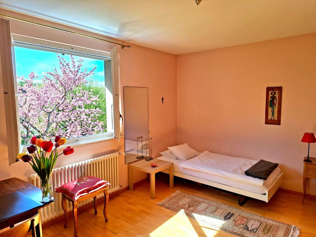 a small room with a bed and a window at rest at last in Geneva