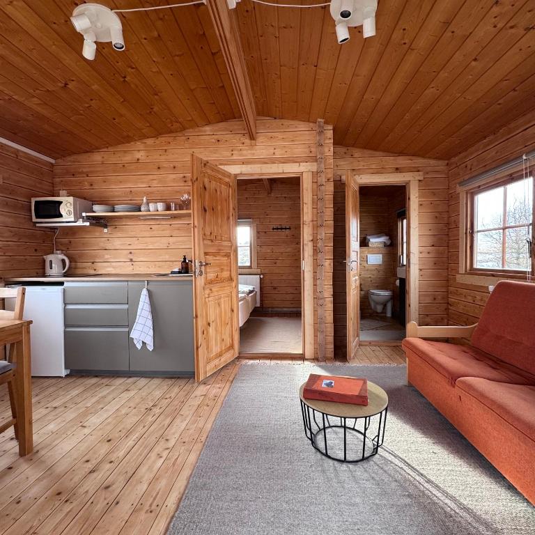 a living room with a couch and a kitchen at Armuli in Reynistaður