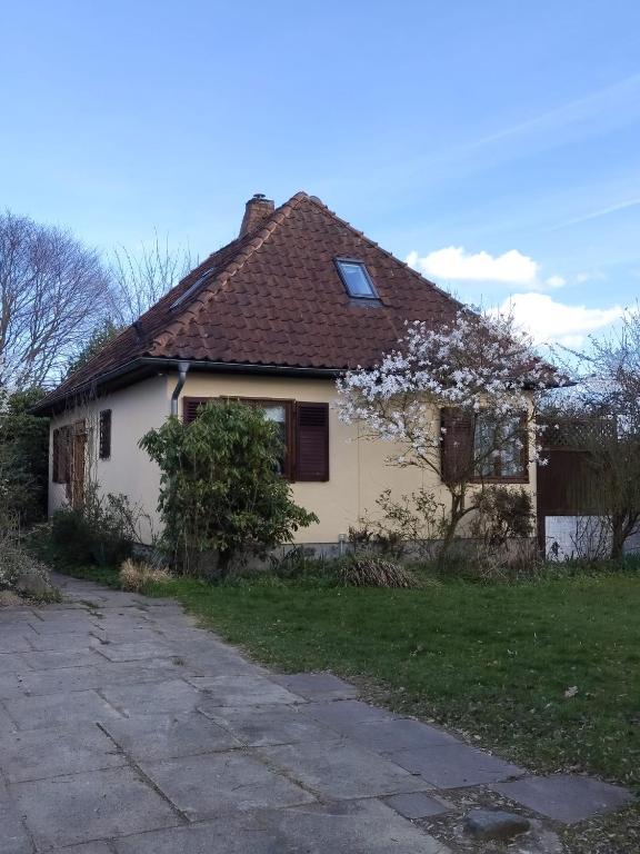 a white house with a tree in front of it at Ferienhaus Tätendorf für die ganze Familie in Tätendorf-Eppensen