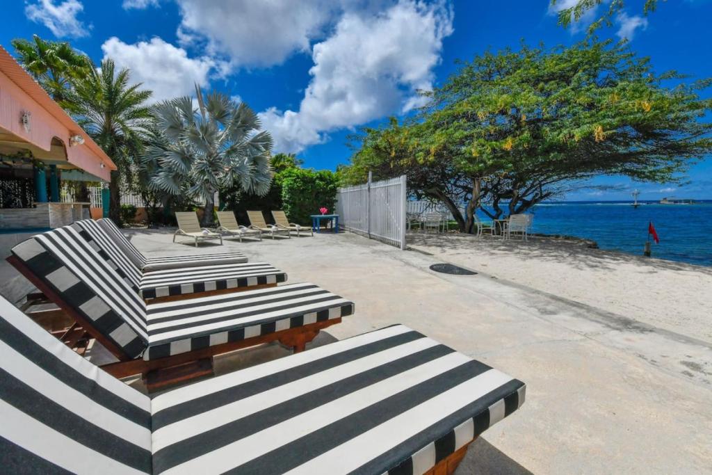a row of lounge chairs sitting on a beach at Beachfront Two-Bedroom Villa in Savaneta