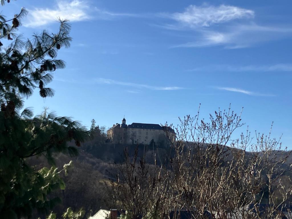 a castle on top of a hill with trees at Alte Gärtnerei in Blankenburg