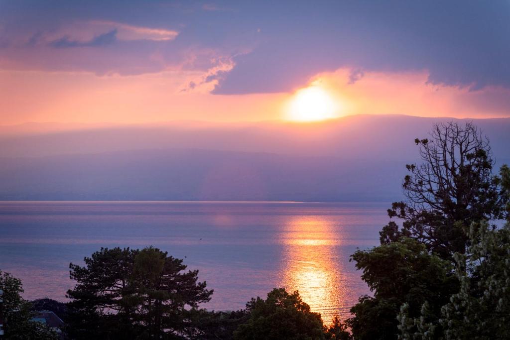 Côté Lac Hostel Evian - 家庭单间公寓