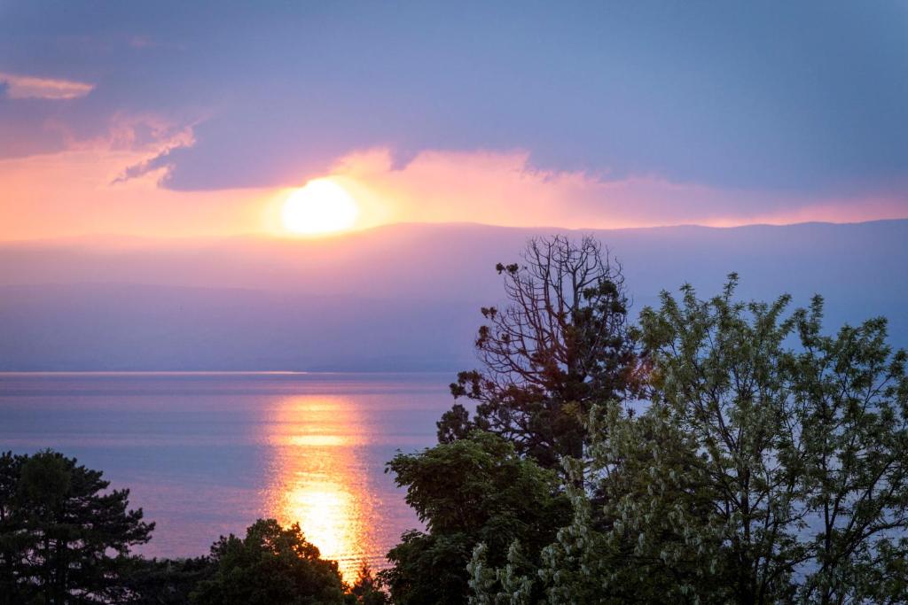 Côté Lac Hostel Evian - 混合宿舍间