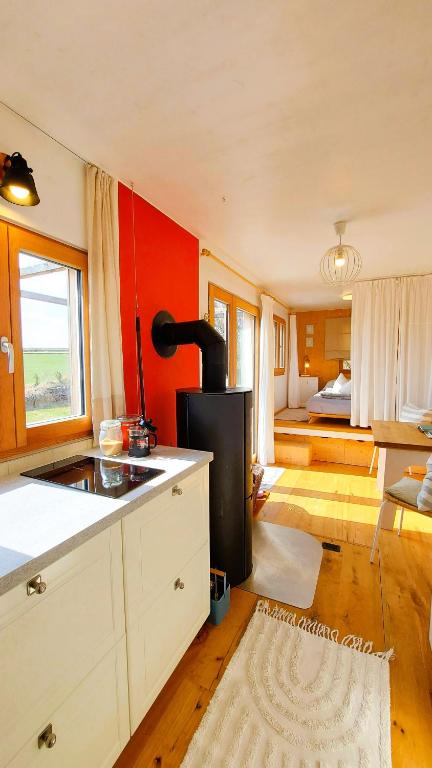 a kitchen with red walls and a stove at Boutique Loft "Mrs Green" im Thayatal, Tiny Haus in Drosendorf Stadt